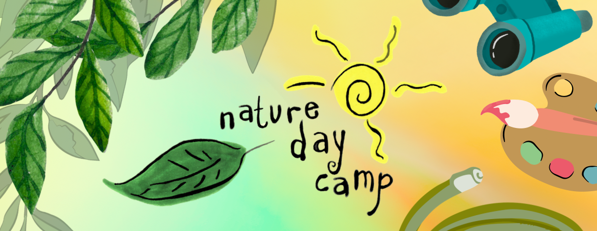 Week 7: Summer Nature Day Camp